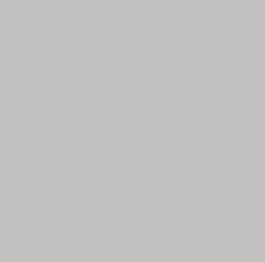 Peinture anti-humidité gris souris satin RIPOLIN Dip etanch 2.5l