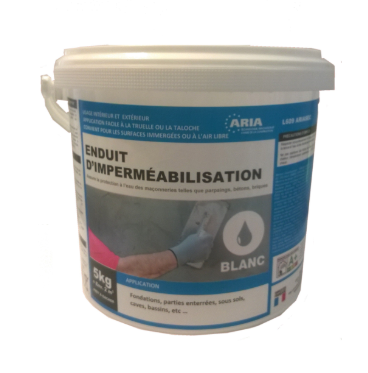 Enduit ciment pour cave Ariasec blanc 20 kg