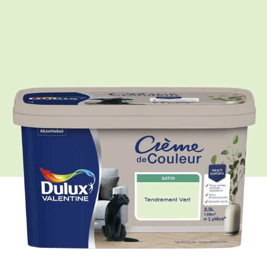 Peinture mur, bois tendrement vert satin DULUX VALENTINE Crème de couleur 2.5l