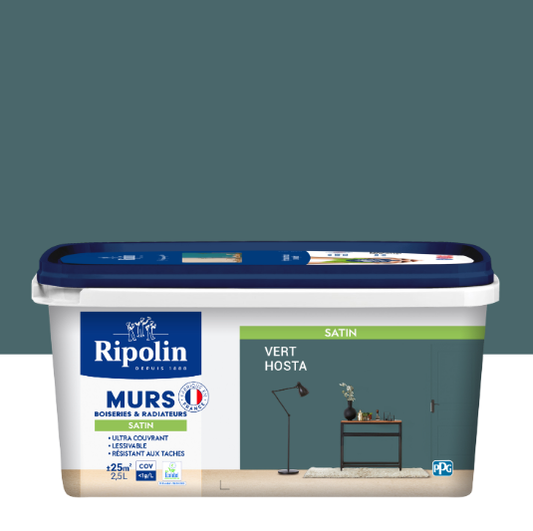 Peinture mur, boiserie, radiateur vert hosta satiné RIPOLIN Intérieur 2.5l