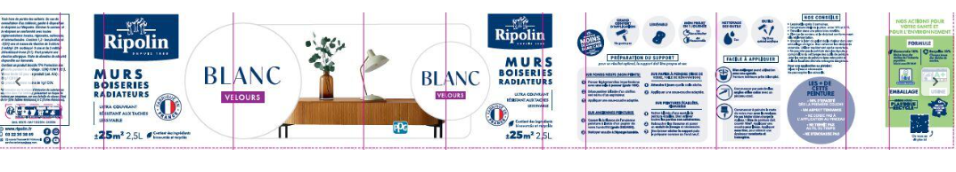 Peinture mur beige glaise velours RIPOLIN Intérieur 2.5L