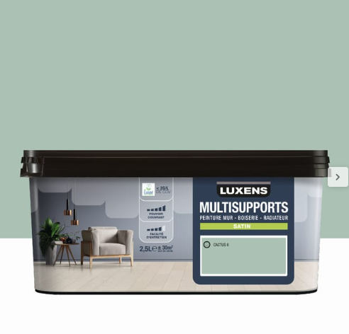 Peinture mur, boiserie, radiateur cactus 6 satin LUXENS , 2.5L