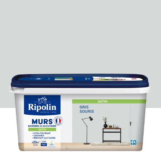 Peinture mur, boiserie, radiateur gris souris satiné RIPOLIN Intérieur 2.5l
