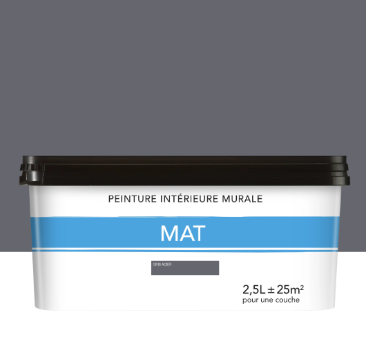 Peinture mur gris acier mat 2.5L