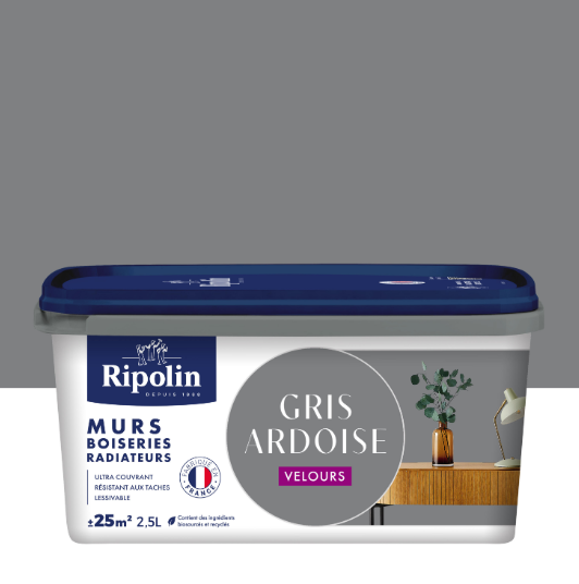 Peinture mur gris ardoise velours RIPOLIN Intérieur 2.5L