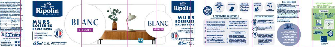 Peinture mur gris ardoise velours RIPOLIN Intérieur 2.5L