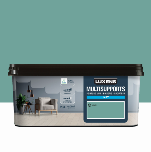 Peinture mur, boiserie, radiateur mint 3 mat LUXENS , 2.5L