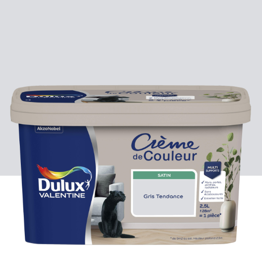 Peinture mur, boiserie gris tendance satin DULUX VALENTINE Crème de couleur 2.5L