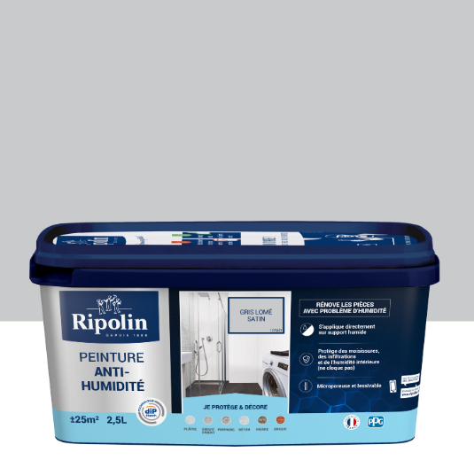 Peinture anti-humidité gris lomé satin RIPOLIN Dip etanch 2.5l