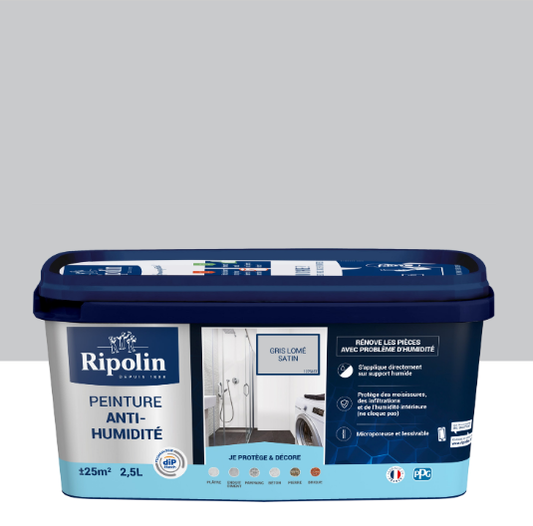 Peinture anti-humidité gris lomé satin RIPOLIN Dip etanch 2.5l