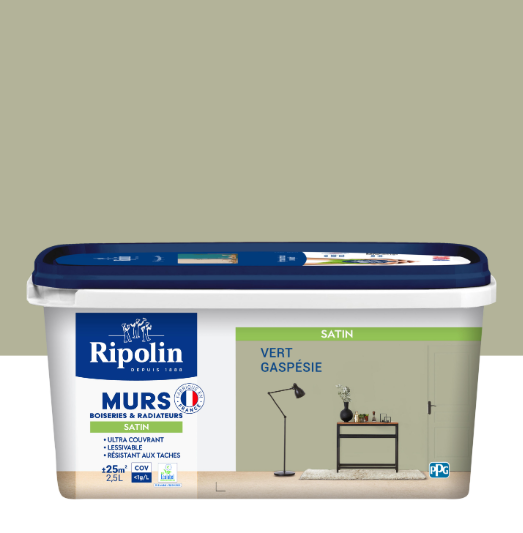 Peinture mur, boiserie, radiateur vert gaspésie satiné RIPOLIN Intérieur 2.5l