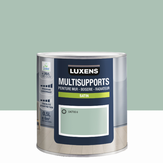 Peinture mur, boiserie, radiateur cactus 6 satin LUXENS , 0.5L