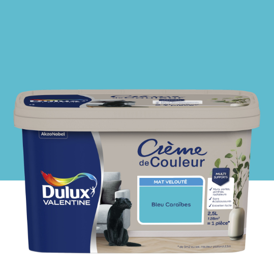 Peinture mur, boiserie bleu caraïbes mat DULUX VALENTINE Crème de couleur 2.5L