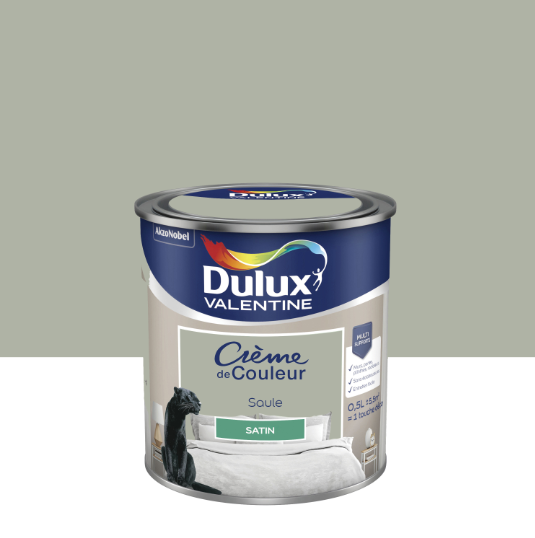 Peinture mur, boiserie saule satin DULUX VALENTINE Crème de couleur 0.5L