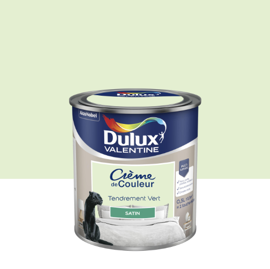 Peinture mur, bois tendrement vert satin DULUX VALENTINE Crème de couleur 0.5l