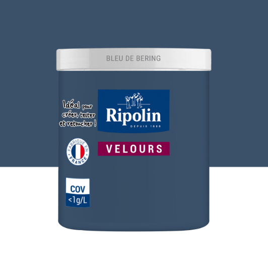 Testeur peinture mur, boiserie, radiateur bleu de béring velours RIPOLIN Intérieur