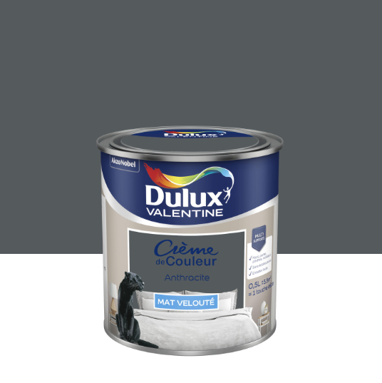 Peinture mur, boiserie anthracite mat DULUX VALENTINE Crème de couleur 0.5L