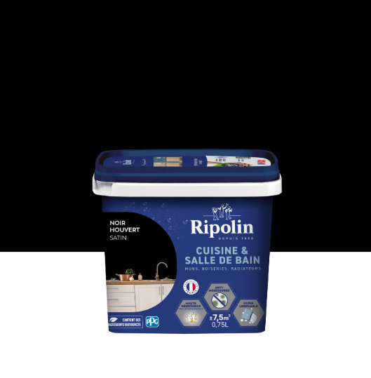 Peinture mur noir houvert satin RIPOLIN Cuisine et bain 0.75L