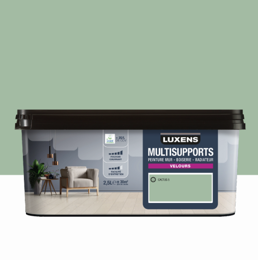 Peinture mur, boiserie, radiateur cactus 5 velours LUXENS , 2.5L