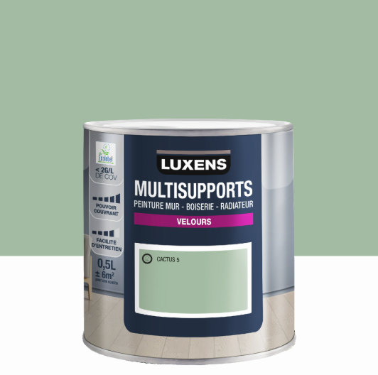 Peinture mur, boiserie, radiateur cactus 5 velours LUXENS , 0.5L