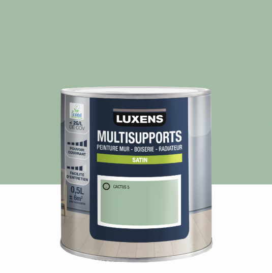 Peinture mur, boiserie, radiateur cactus 5 satin LUXENS , 0.5L