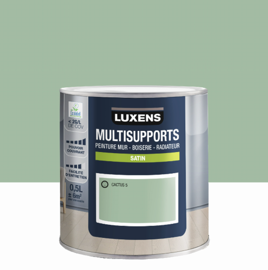 Peinture mur, boiserie, radiateur cactus 5 satin LUXENS , 0.5L