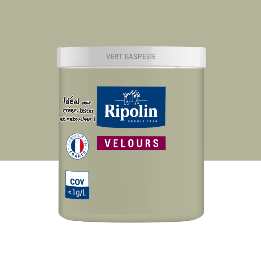 Testeur peinture mur, boiserie, radiateur vert gaspésie velours RIPOLIN Intérieur