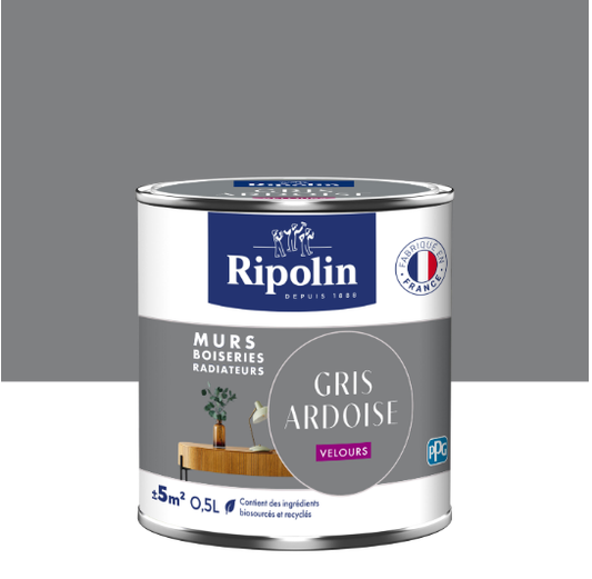 Peinture mur gris ardoise velours RIPOLIN Intérieur 0.5L