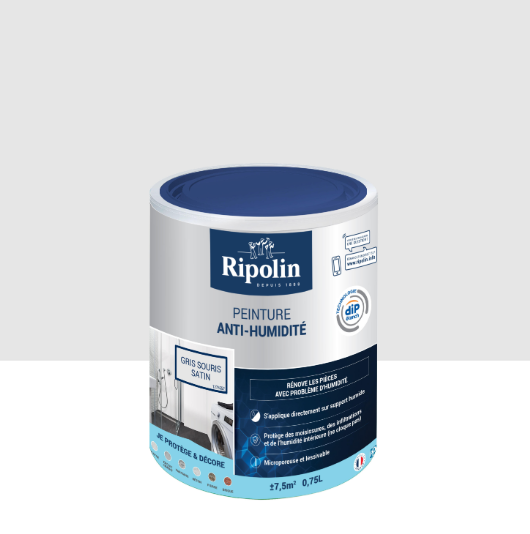 Peinture mur anti-humidité gris souris satin RIPOLIN Dip etanch 0.75l