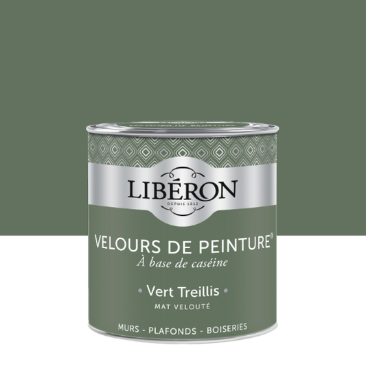 Peinture mur et plafond vert treillis velours LIBÉRON Velours de peinture® 0.5L