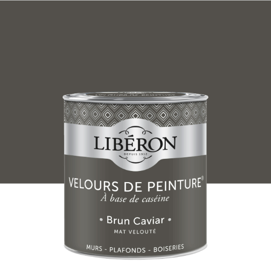 Peinture mur et plafond brun caviar velours LIBÉRON Velours de peinture® 0.5L