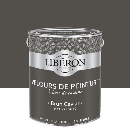 Peinture mur et plafond brun caviar velours LIBÉRON Velours de peinture® 2.5L