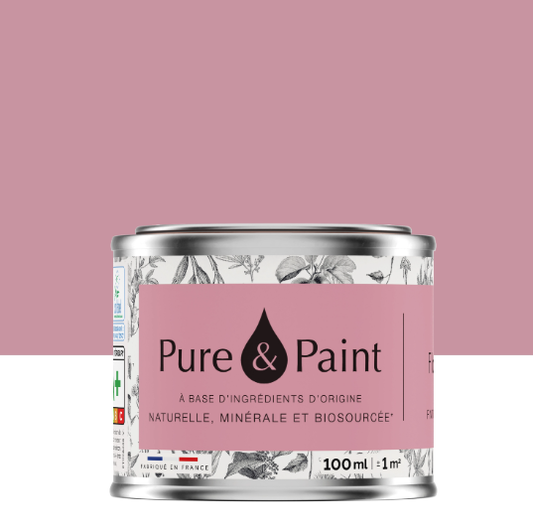 Peinture mur et plafond flandres velours PURE & PAINT , 0.1L