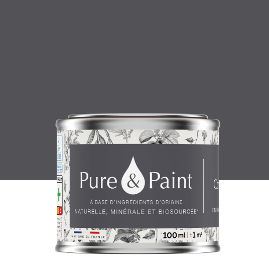 Peinture mur et plafond carbon velours PURE & PAINT , 0.1L