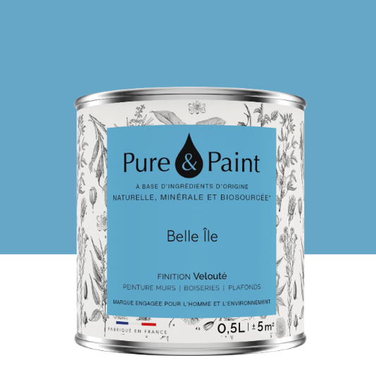 Peinture mur et plafond belle île velours PURE & PAINT , 0.5L