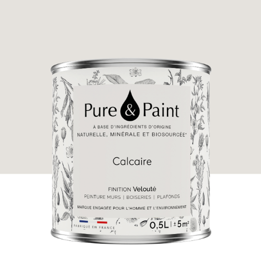 Peinture mur et plafond calcaire velours PURE & PAINT , 0.5L
