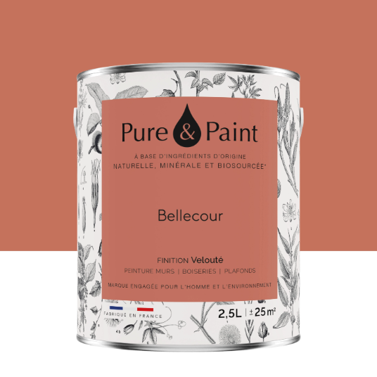 Peinture mur et plafond bellecour velours PURE & PAINT , 2.5L