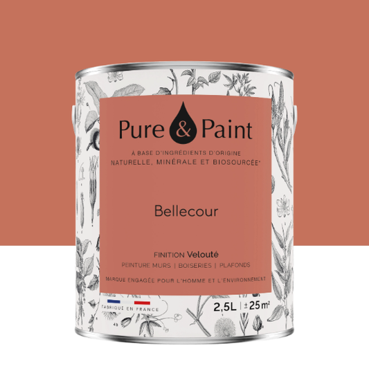 Peinture mur et plafond bellecour velours PURE & PAINT , 2.5L