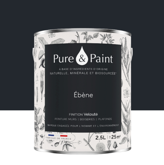 Peinture mur et plafond ébène velours PURE & PAINT , 2.5L
