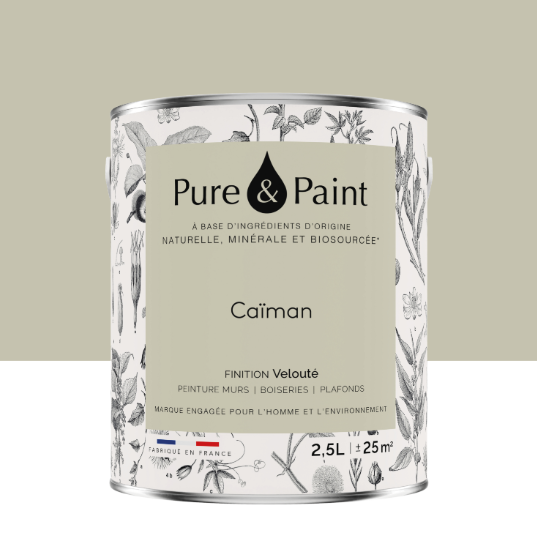 Peinture mur et plafond caiman velours PURE & PAINT , 2.5L