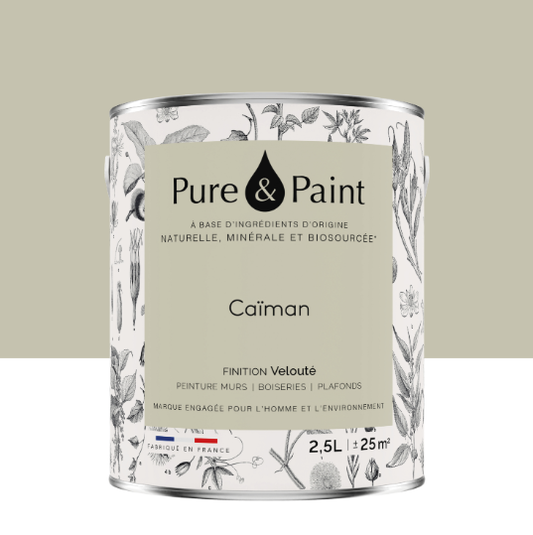 Peinture mur et plafond caiman velours PURE & PAINT , 2.5L