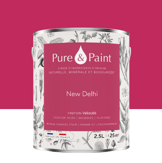 Peinture mur et plafond new delhi velours PURE & PAINT, 2.5L
