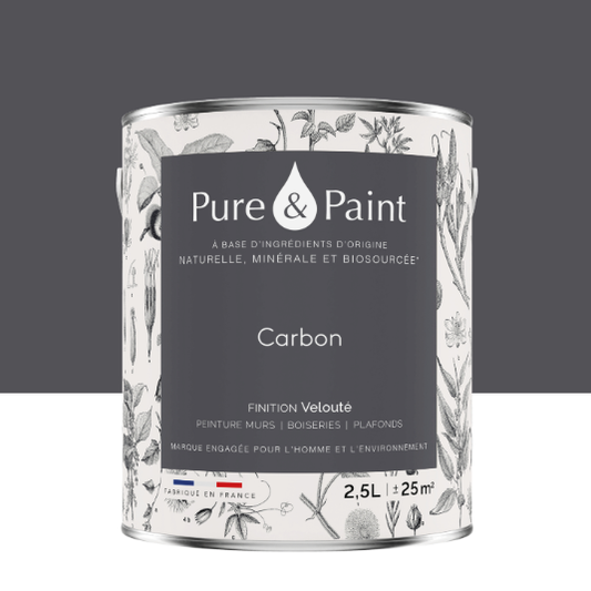 Peinture mur et plafond carbon velours PURE & PAINT , 2.5L