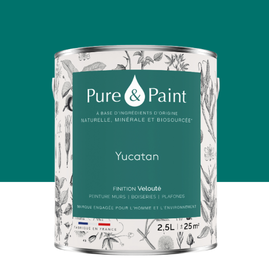 Peinture mur et plafond yucatan velours PURE & PAINT , 2.5L