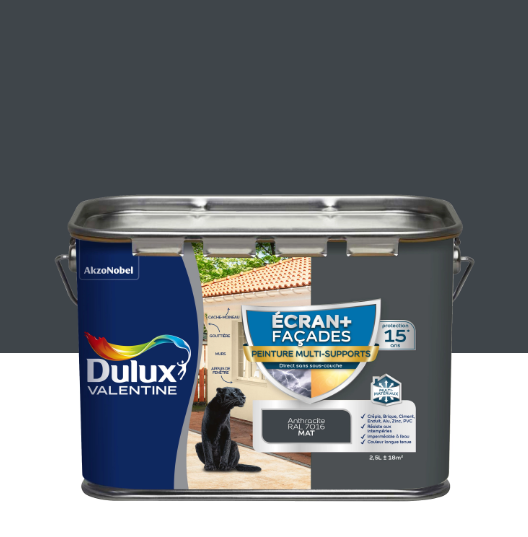 Peinture extérieure façade Ecran+ ms DULUX VALENTINE anthracite mat 2.5l