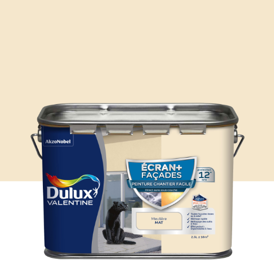 Peinture extérieure façade Ecran+ cf DULUX VALENTINE meuliere mat 2.5l