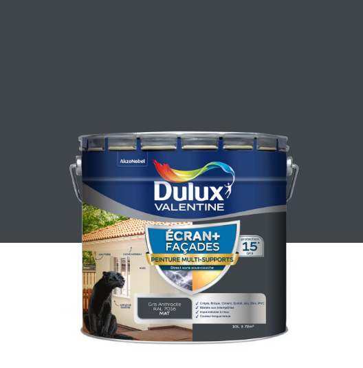 Peinture extérieure façade Ecran+ ms DULUX VALENTINE anthracite mat 10l