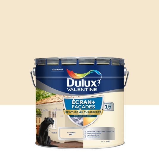 Peinture extérieure façade Ecran+ ms DULUX VALENTINE meuliere mat 10l