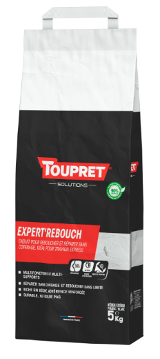 Enduit de rebouchage en poudre Haute performance TOUPRET blanc 5 kg