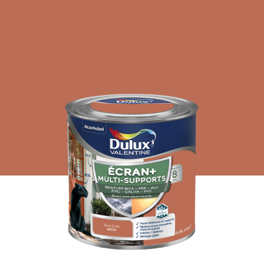 Peinture extérieure bois, fer, Ecran + DULUX VALENTINE terre cuite satiné 0.25l